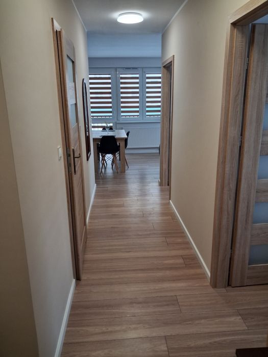 Nowe mieszkanie do wynajęcia