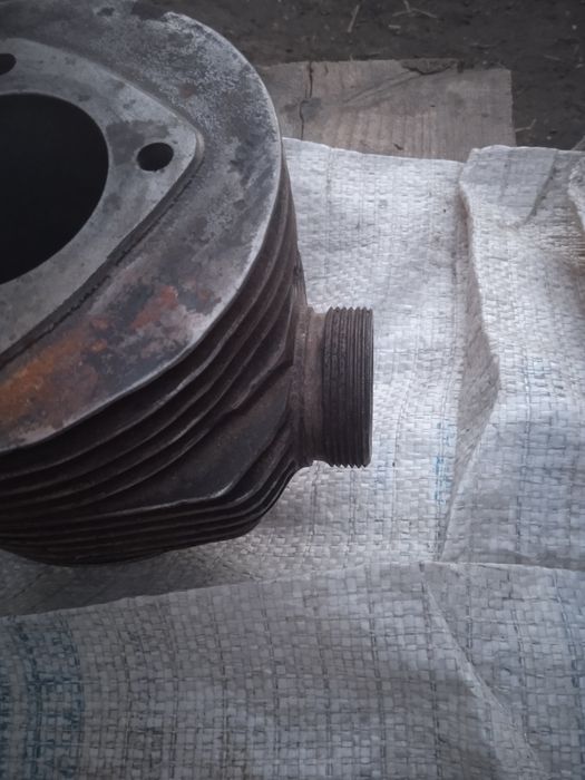 Циліндр муравей тулиця