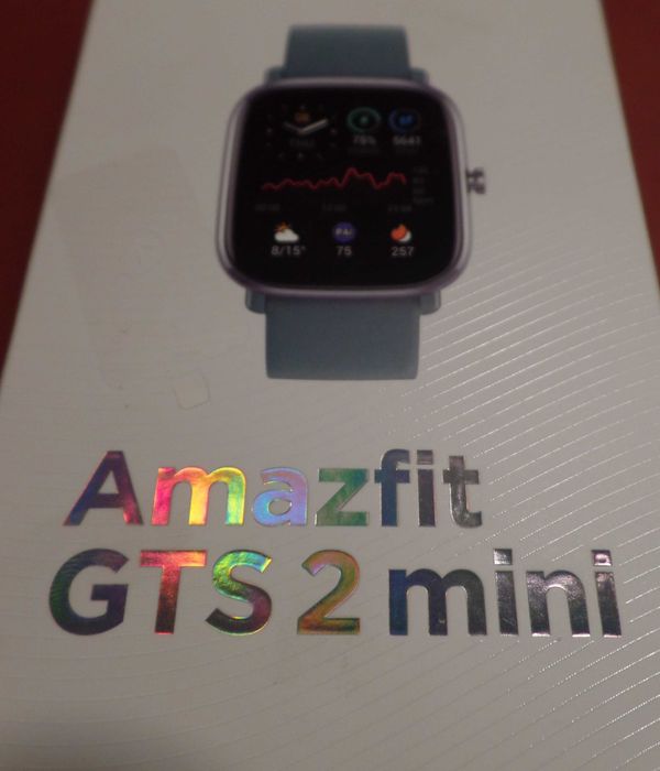 SmartWatch Amazfit GTS 2 Mini (27)