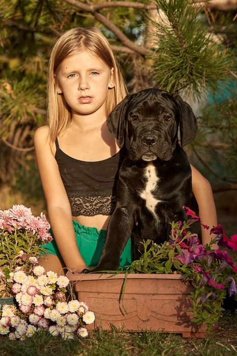 Cavaliero Dell'Onore Leroy