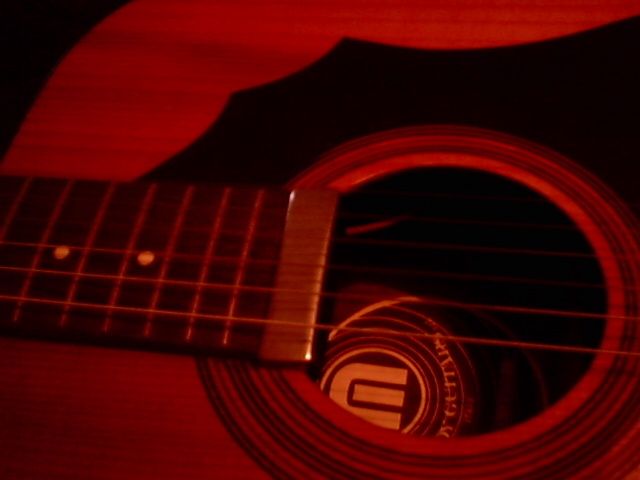 viola acústica de 12 cordas