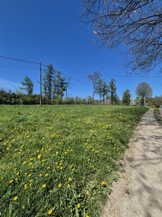 Działka 3000m2 - do wynajęcia