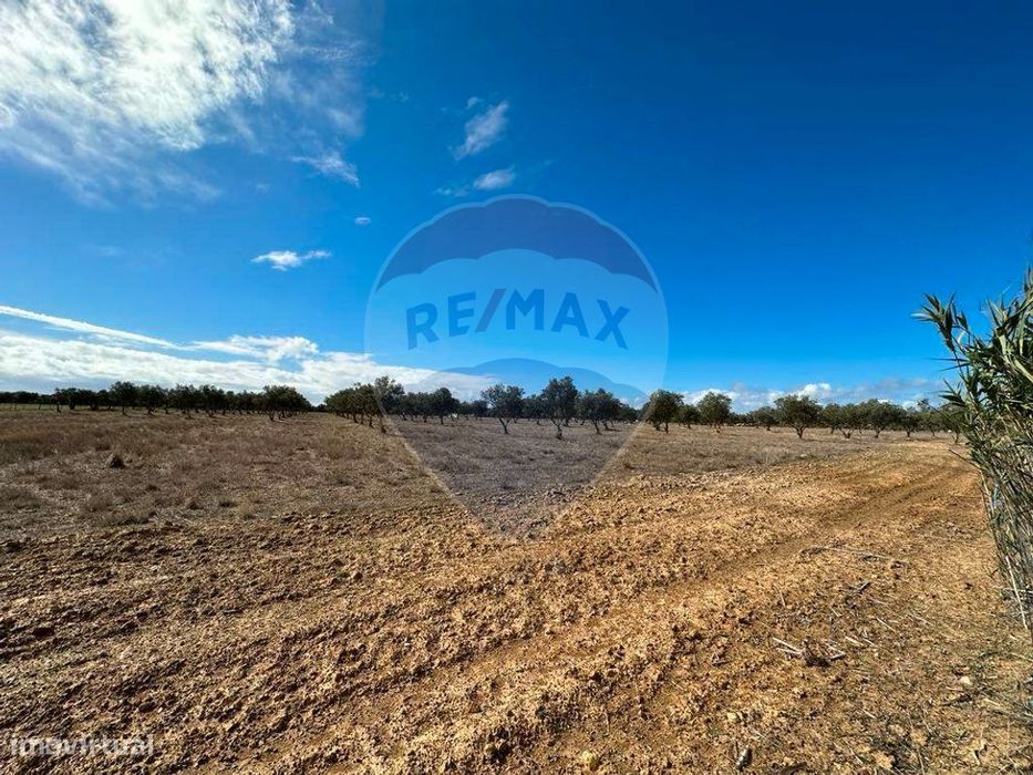 Terreno  para venda — São Salvador E Santa Maria, Beja
