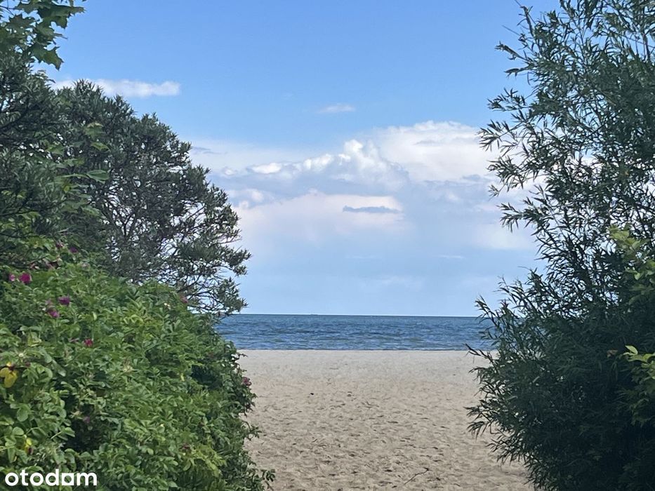 Działka budowlana w Gdyni, bardzo blisko plaży i lasu!