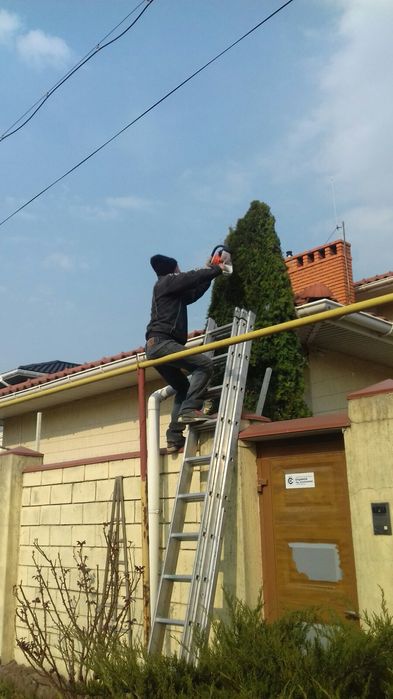 Вспашка и уборка участков очень добросовестно. Одесса.