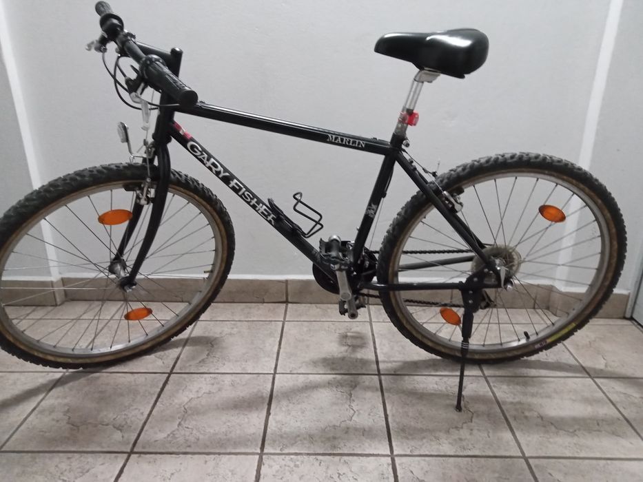 Rower Gary Fisher- Mariln