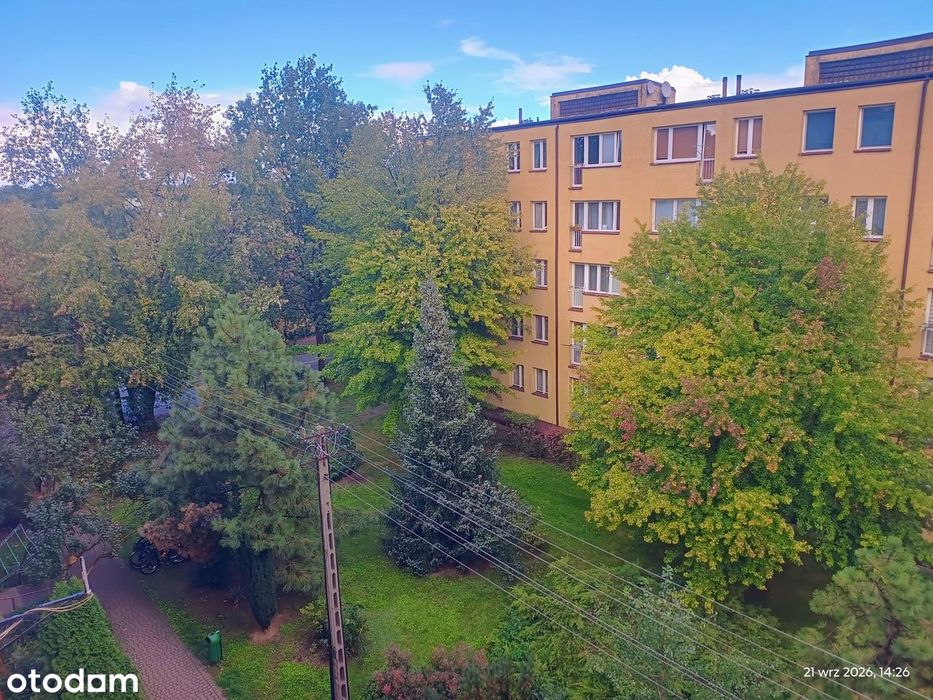 Przytulne M4 w zielonym Brwinowie, bez prowizji od Kupującego