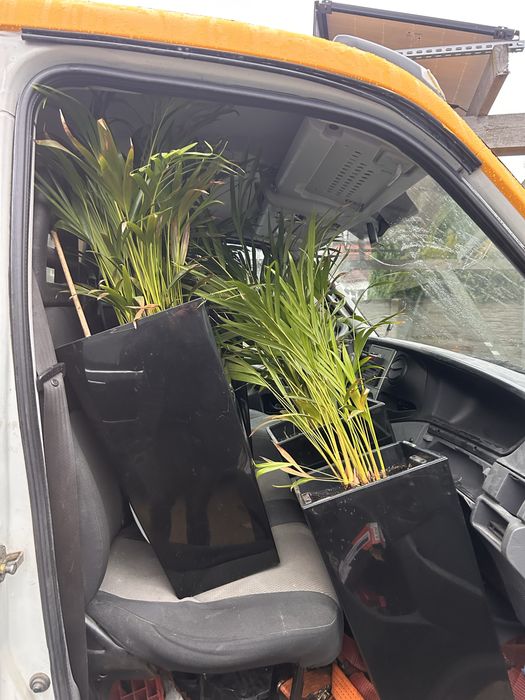 DD Auto Warsztat przy S6 / S11 szczecińska 59A Koszalin werkstatt 24h