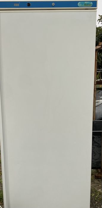 Frigorifico vertical industrial 550 Lt