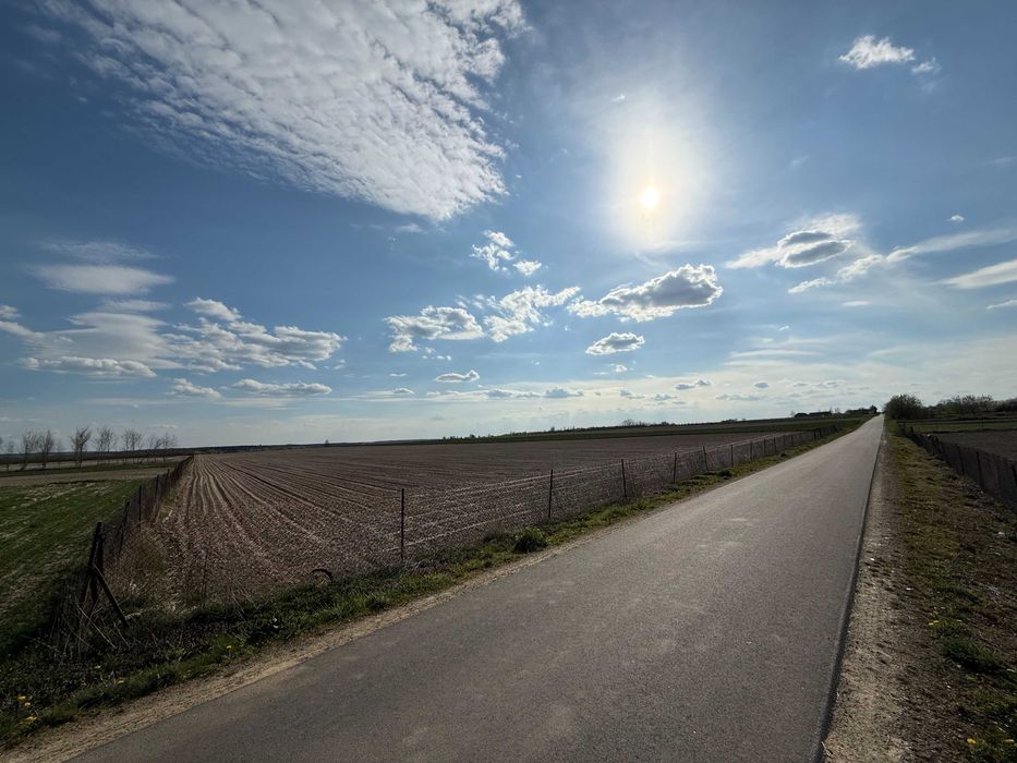 Działka rolna 4,85 ha | Pole orne | Droga asfaltowa
