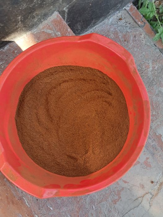 Чага мелена сушена ( березовий гриб)