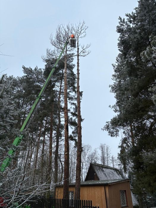 Wycinka Drzew. Prace Ogrodnicze. Podnośnik koszowy. Brukarstwo