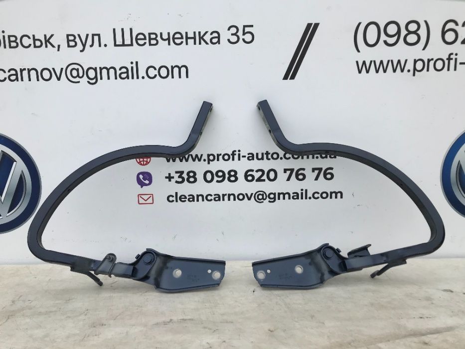 Петлі-завіси кришки багажника(комплет) Volkswagen Passat B7-B8-B9 NMS USA
