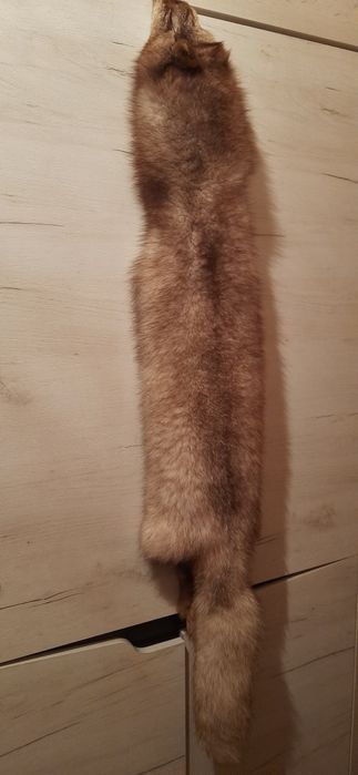 Шкура чорнобурки, песца 132 см