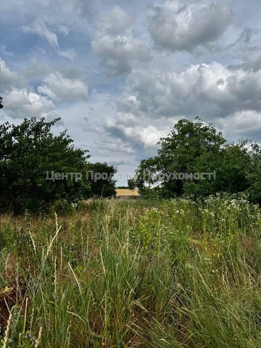 Продам цегляний газифікований будинок з великою ділянкою