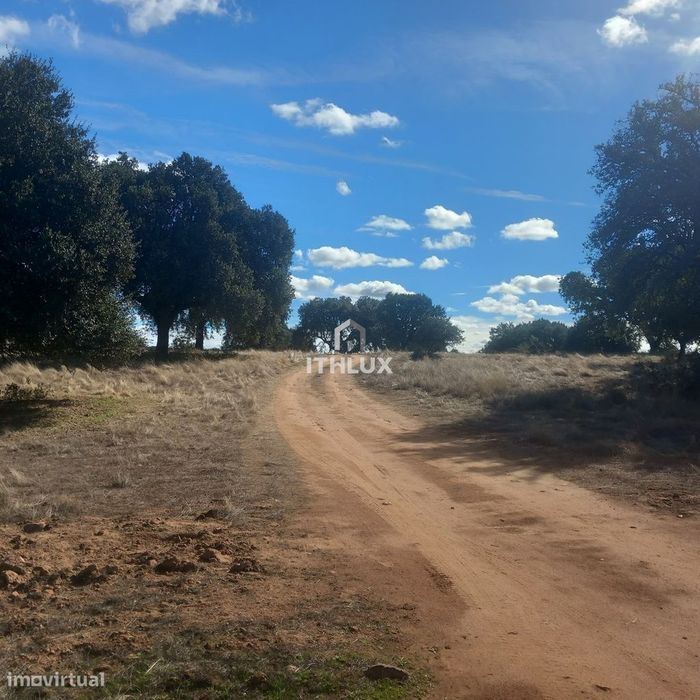 Terreno rústico com aproximadamente 70.000 m2  (7 hectares) para venda