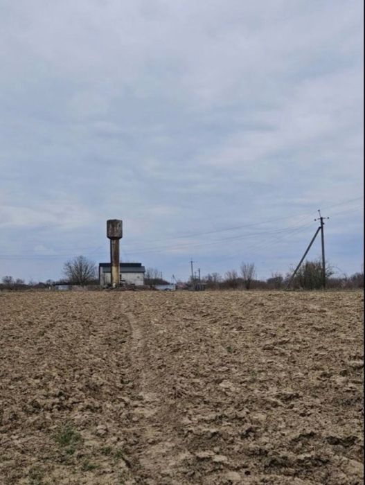 Земельна ділянка  45 соток Тарнівці ( центр)