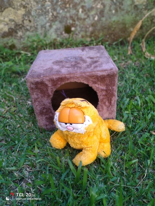 Garfield na sua casota