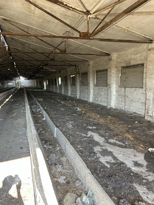 Продам ферму на 900 м2