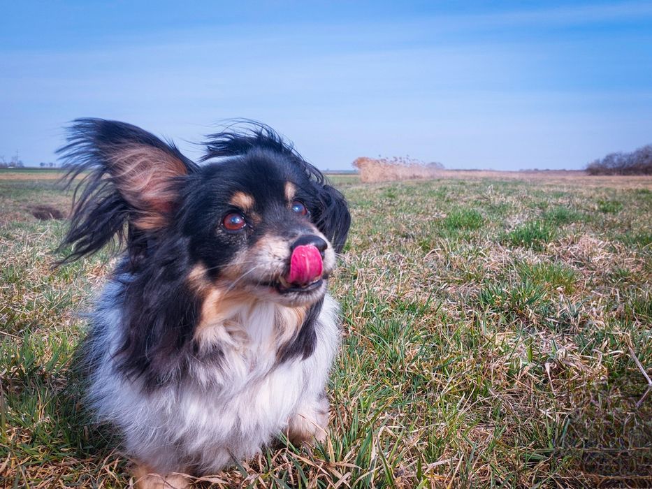 Naprawdę nikt ? PILNE