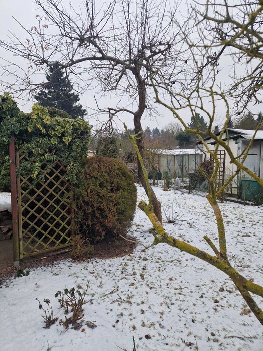 Działka Rod Botaniczne do sprzedania