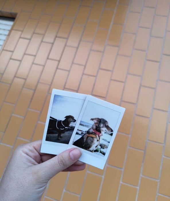 Fotos Instax impressas