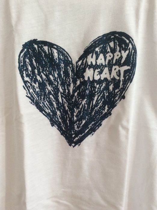 Lote de duas t-shirts Zippy