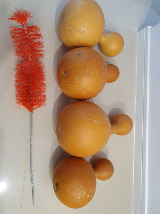 Tykwy owoc zdrewniały z Nigerii + gratis