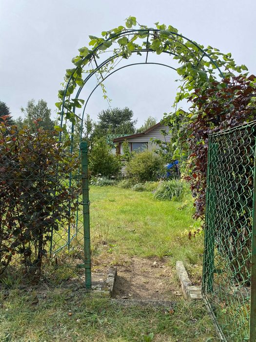 Sprzedam ogródek działkowy ROD , 42 Pułku Piechoty