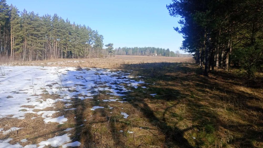 Sprzedam ziemię pod żwirownię