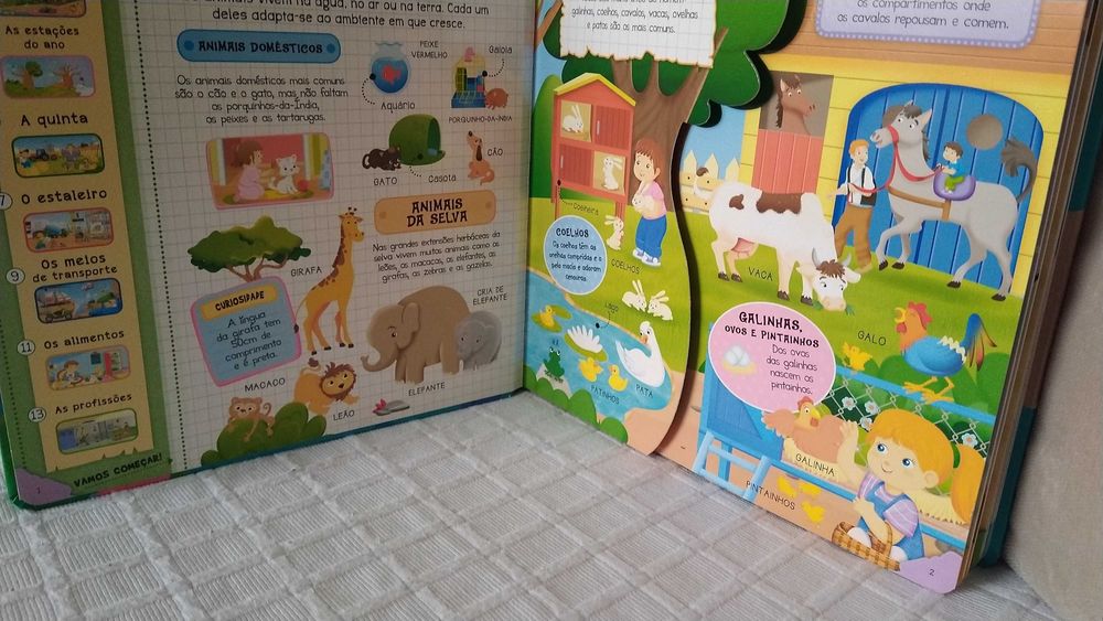 A minha primeira enciclopédia infantil