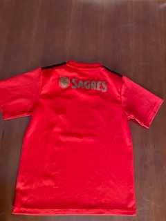 Kit oficial Adidas SLBenfica 20/21