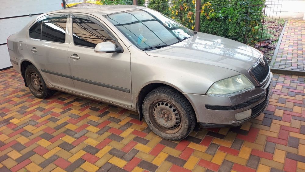 Школа Октавія а5