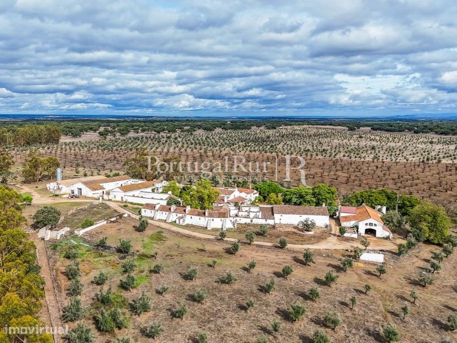 Herdade de 935 ha com produção florestal e agrícola em Portalegre