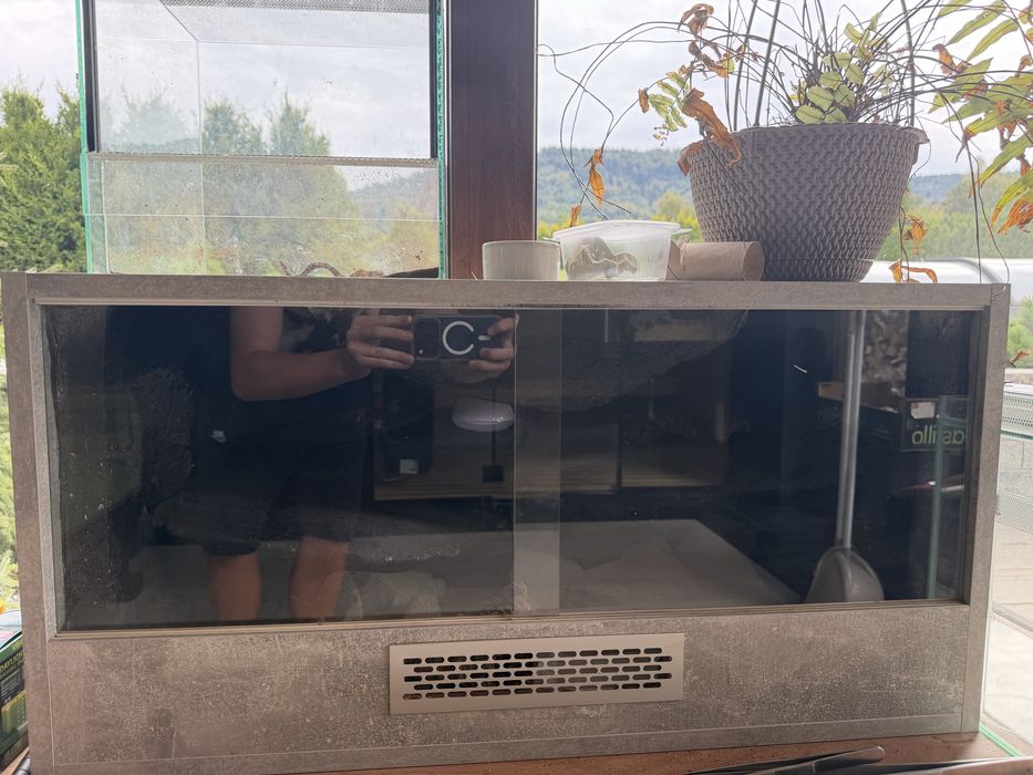 Terarium dla gekona lamparciego