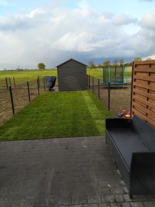 Trawa z rolki, trawnik z siewu