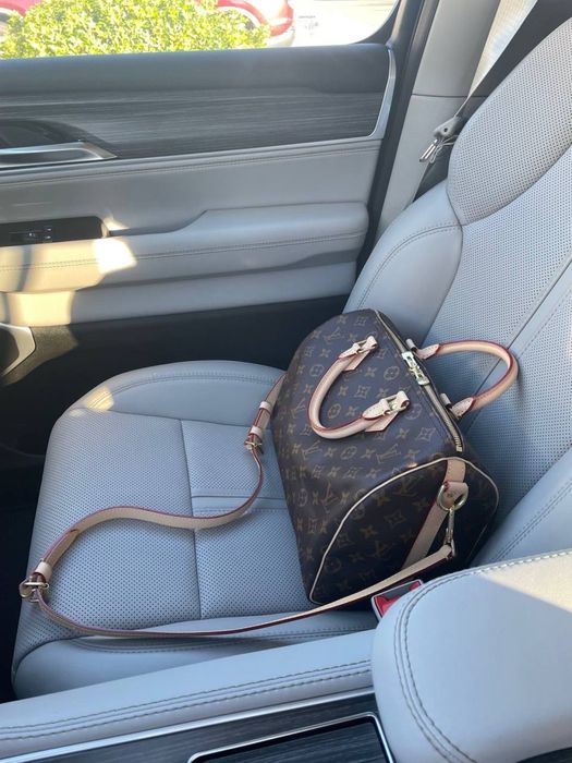 Сумка Louis Vuitton Speedy