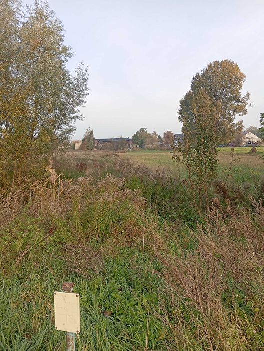 Działka budowlana Cieplewo (Pruszcz Gdański) - Widok 3