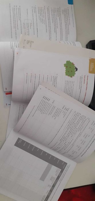 Manuais Português 9º ano  P9 - Texto Editores.