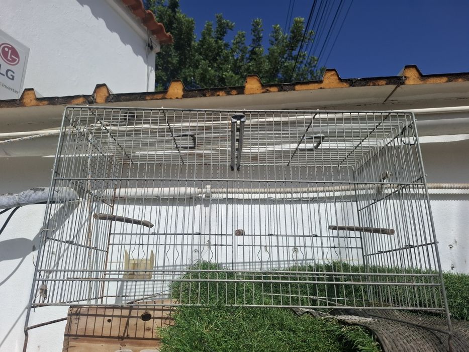 Algumas gaiolas disponíveis