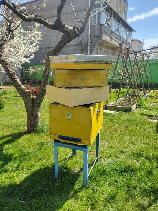 Вулики Дадан 10 рамкові з магазинами
