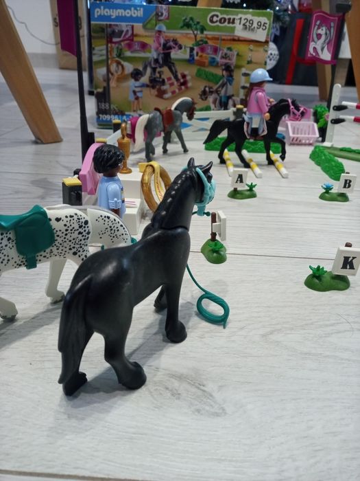 Klocki Playmobil Country 2 zestawy