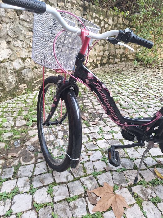 Bicicleta adriática