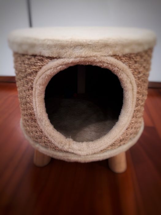 Arranhador gato e casota
