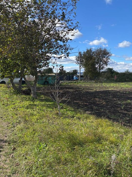 Земельна ділянка