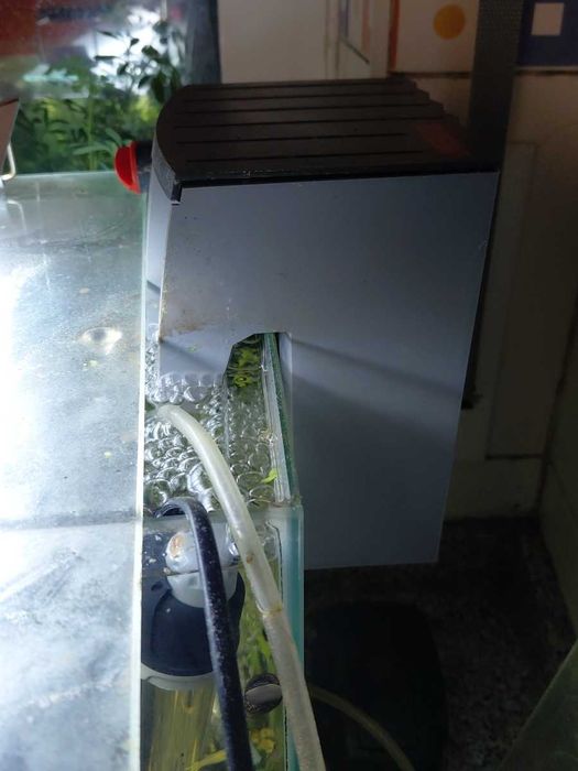 Aquario semi novo e filtro externo cascata