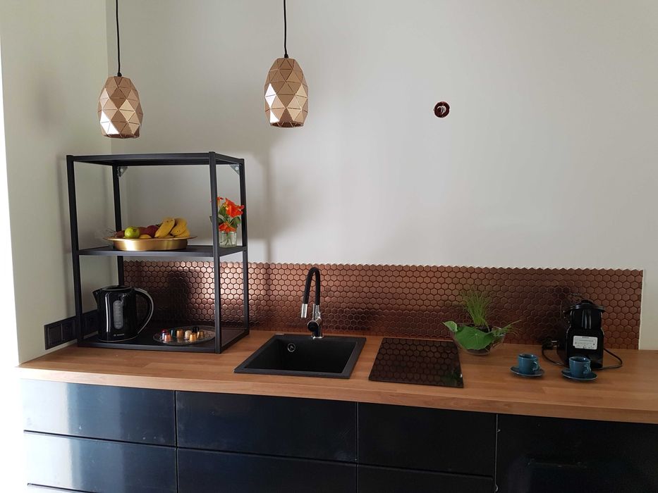 Apartamenty  w Ustrzykach Dolnych 2 i 4 osobowe