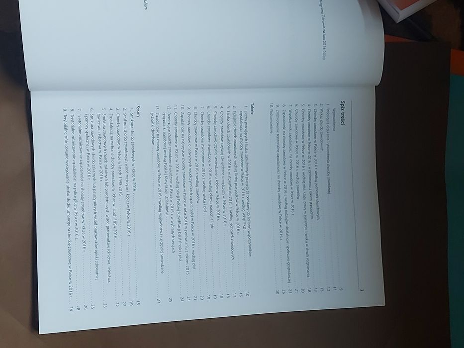Książka CHoroby Zawodowe w Polsce 2016/17rok