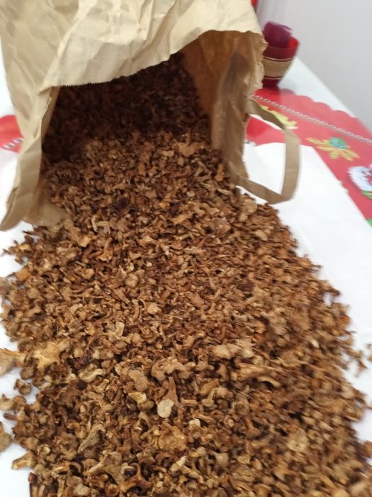 Suszone grzyby kurki