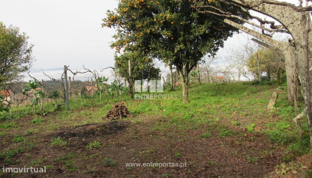 Venda Moradia V2, Fornelos, Cinfães